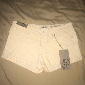 NWT Indigo Rein shorts